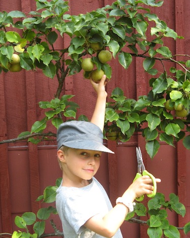 Rural Intelligence Food