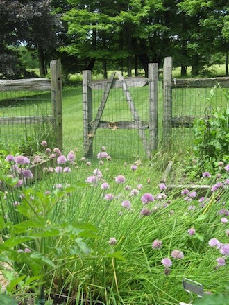 Rural Intelligence Style