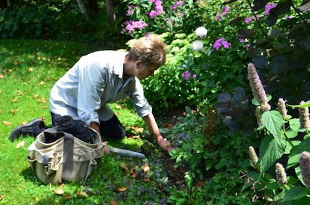 Rural Intelligence Style