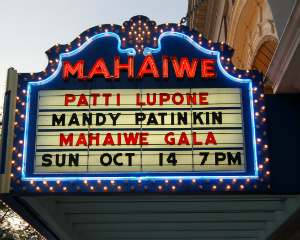 Rural Intelligence Parties and Openings