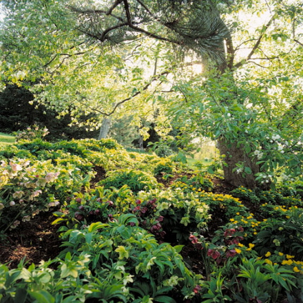 Rural Intelligence Road Trips