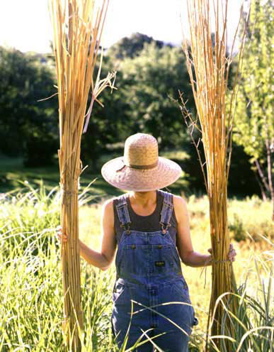 Rural Intelligence Issues