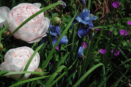 Rural Intelligence Parties and Openings