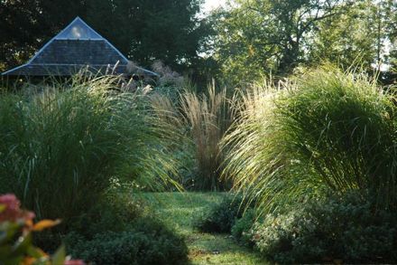 Rural Intelligence Style