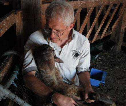 Rural Intelligence Food