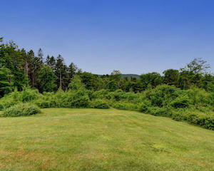 Private yard Private yard