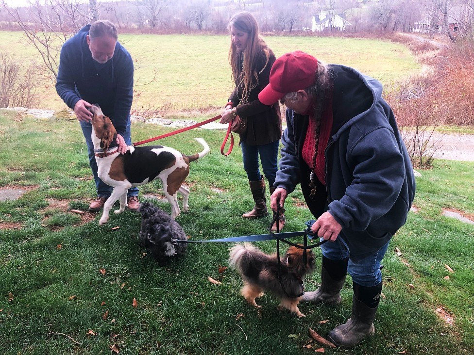 Bandy and Brenda Izzo, the sanctuary&#39;s barn manager, bring out some of the dogs.