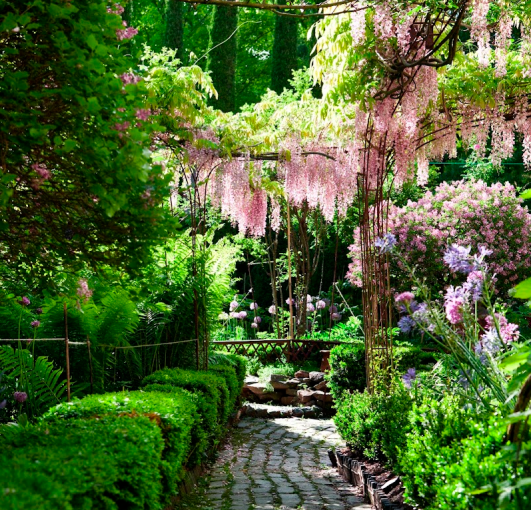 The garden of Michael Trapp The garden of Michael Trapp