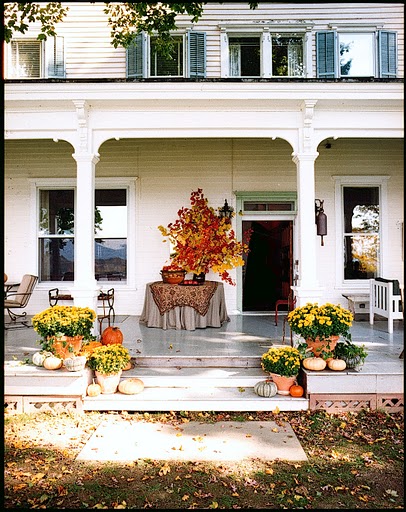 Rural Intelligence Style