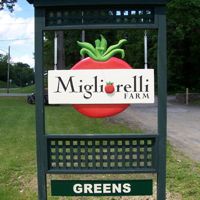 Rural Intelligence Road Trips