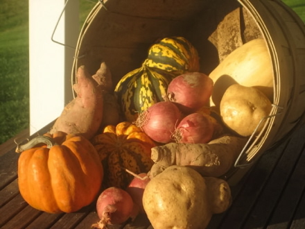 Rural Intelligence Food