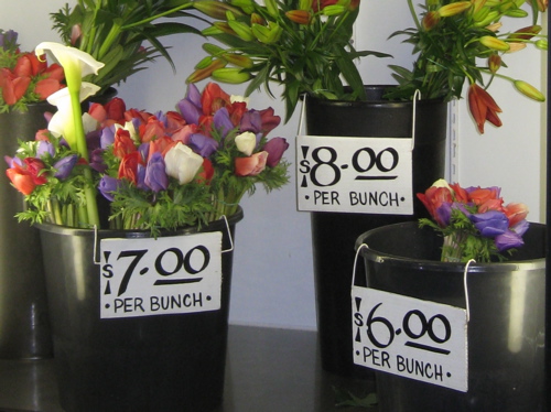 Rural Intelligence Home and Garden