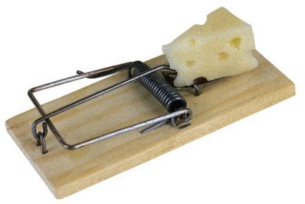 Rural Intelligence Issues