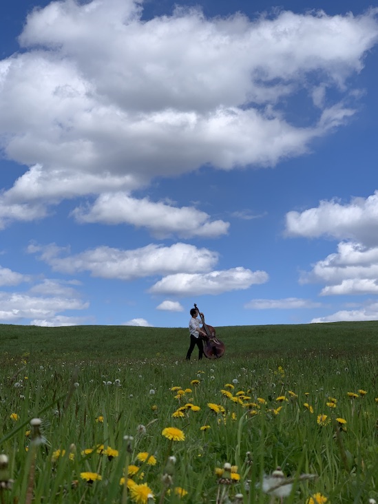 Musician in a field of wildflowers. Musician in a field of wildflowers.