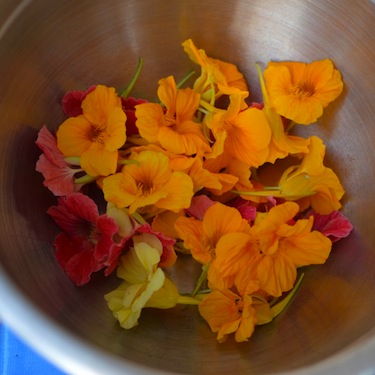 Rural Intelligence Food