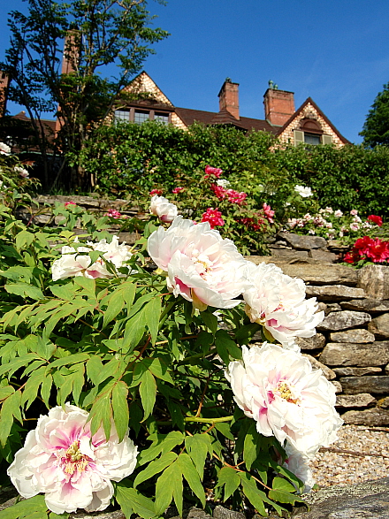 Rural Intelligence Road Trips