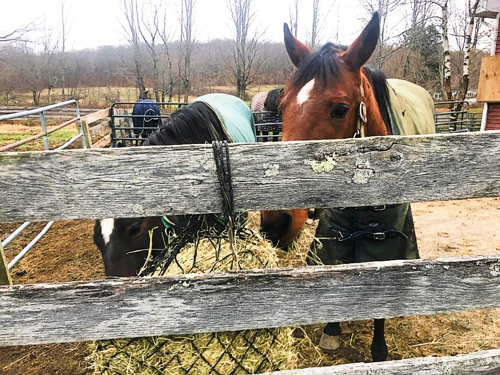 Hogue&#39;s Best Sunday and Super Tuesday, finally home.