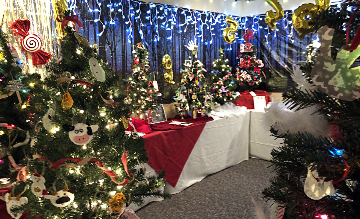 A Christmas tree wonderland