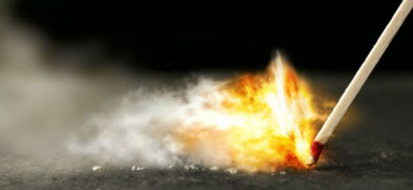 Rural Intelligence Style