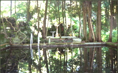 Rural Intelligence Home and Garden