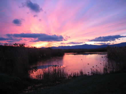 Rural Intelligence Road Trips