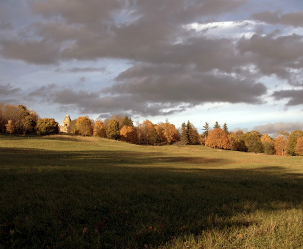 Rural Intelligence Community