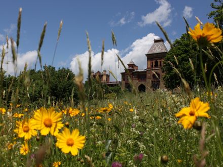 Rural Intelligence Road Trips