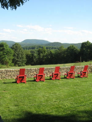 Rural Intelligence Style