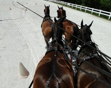 Rural Intelligence Road Trips