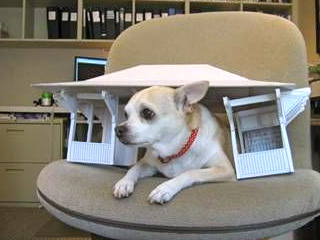 Rural Intelligence Style