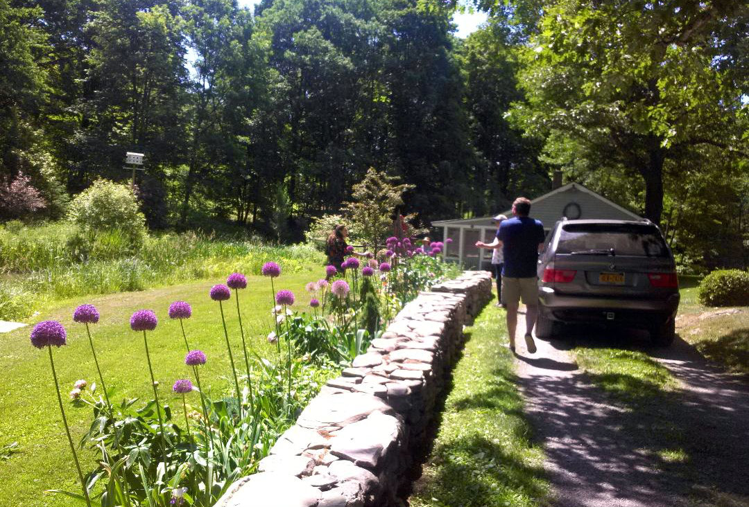 The garden, with pond on the left The garden, with pond on the left