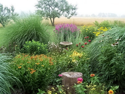 Rural Intelligence Style