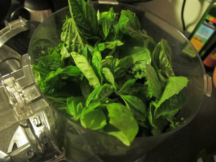 Rural Intelligence Style