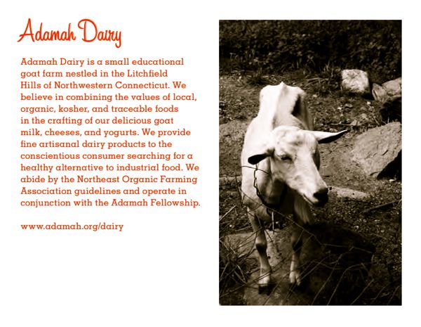 Rural Intelligence Food