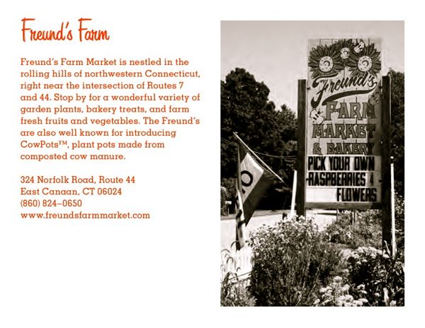 Rural Intelligence Food