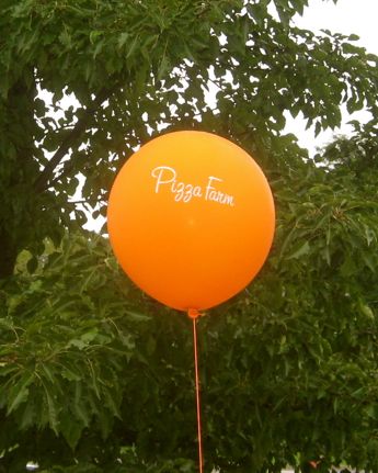 Rural Intelligence Food