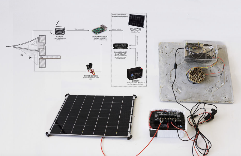 The brains inside each Pollinators Pavilion panel The brains inside each Pollinators Pavilion panel