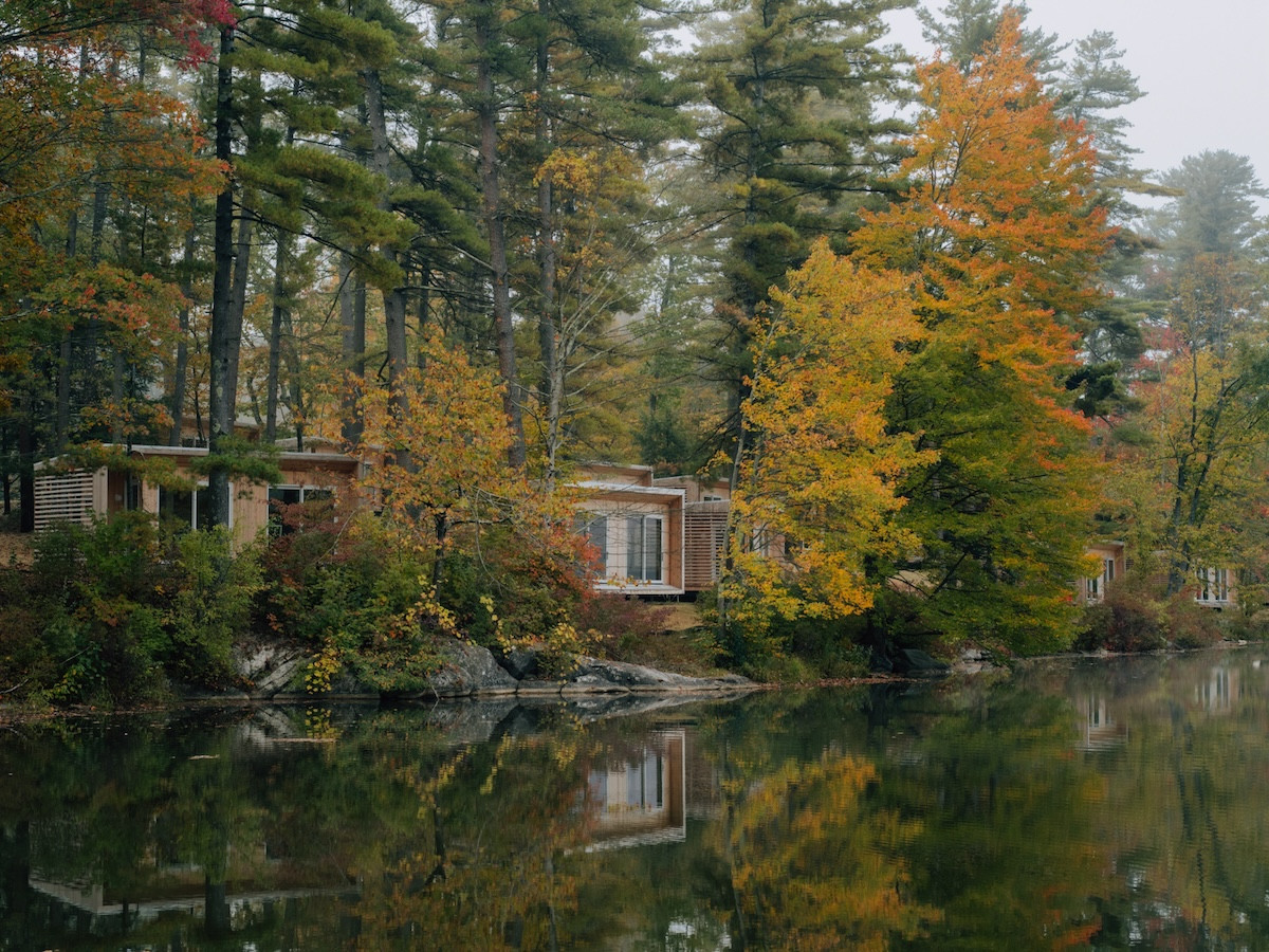 All photos courtasy of Prospect. All photos courtasy of Prospect.