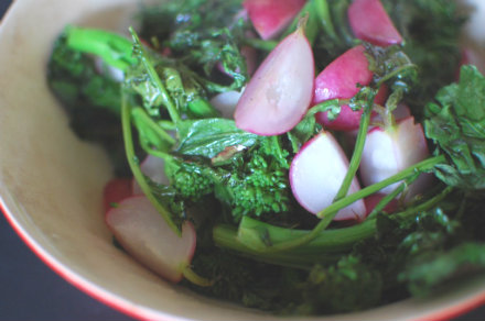 raab and radish home