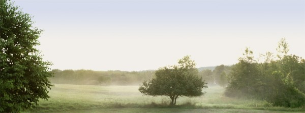 Rural Intelligence Style