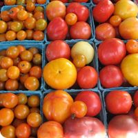 Rural Intelligence Road Trips