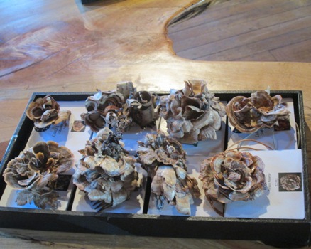 Rural Intelligence Style