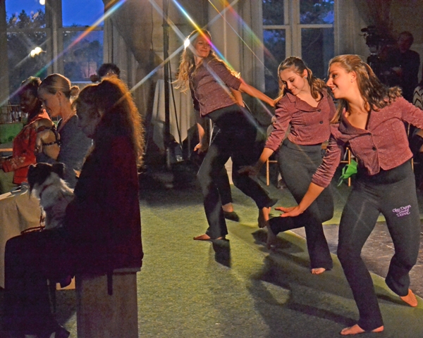 Rural Intelligence Parties and Openings