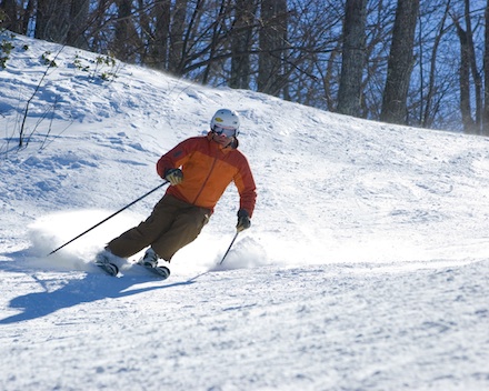 Rural Intelligence Style