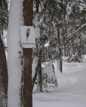 Rural Intelligence Style