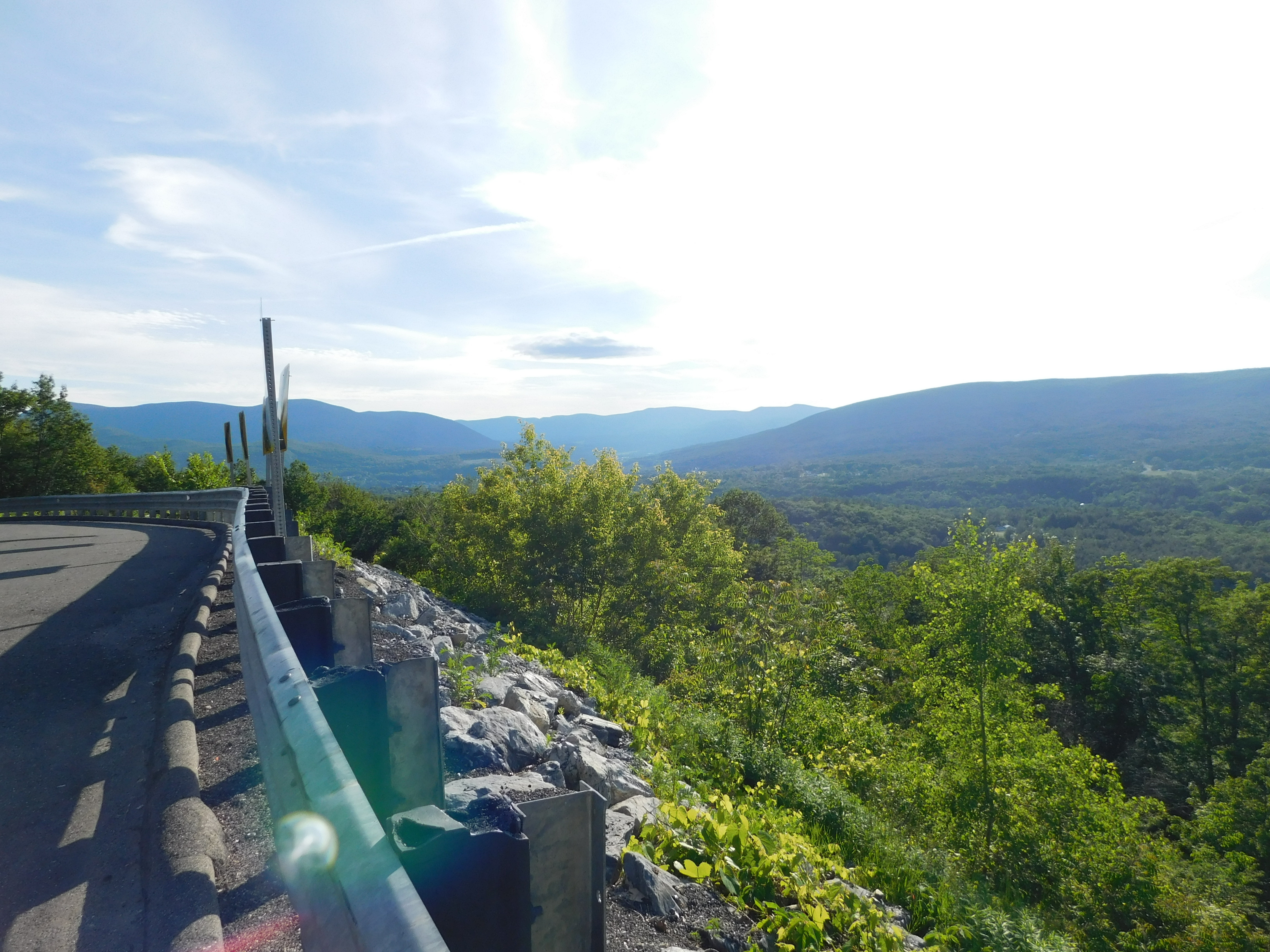 Susan Duffy Susan Duffy