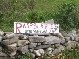 Rural Intelligence Road Trips