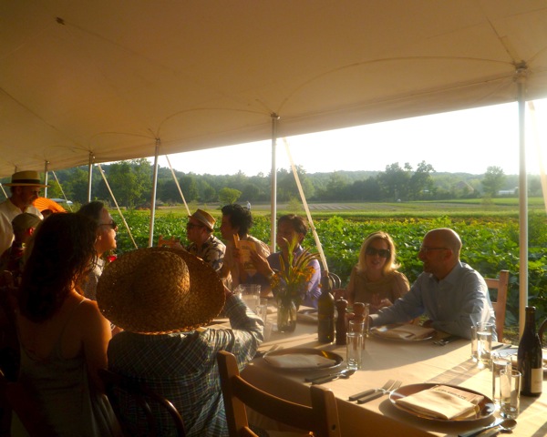 Rural Intelligence Parties and Openings