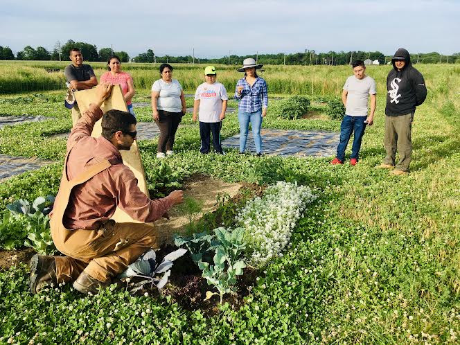Farmer Samuel Rose teaching in his field