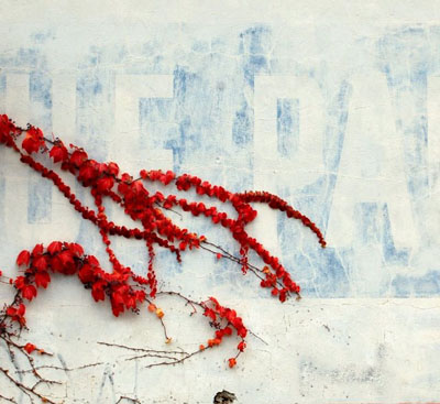 Rural Intelligence Community